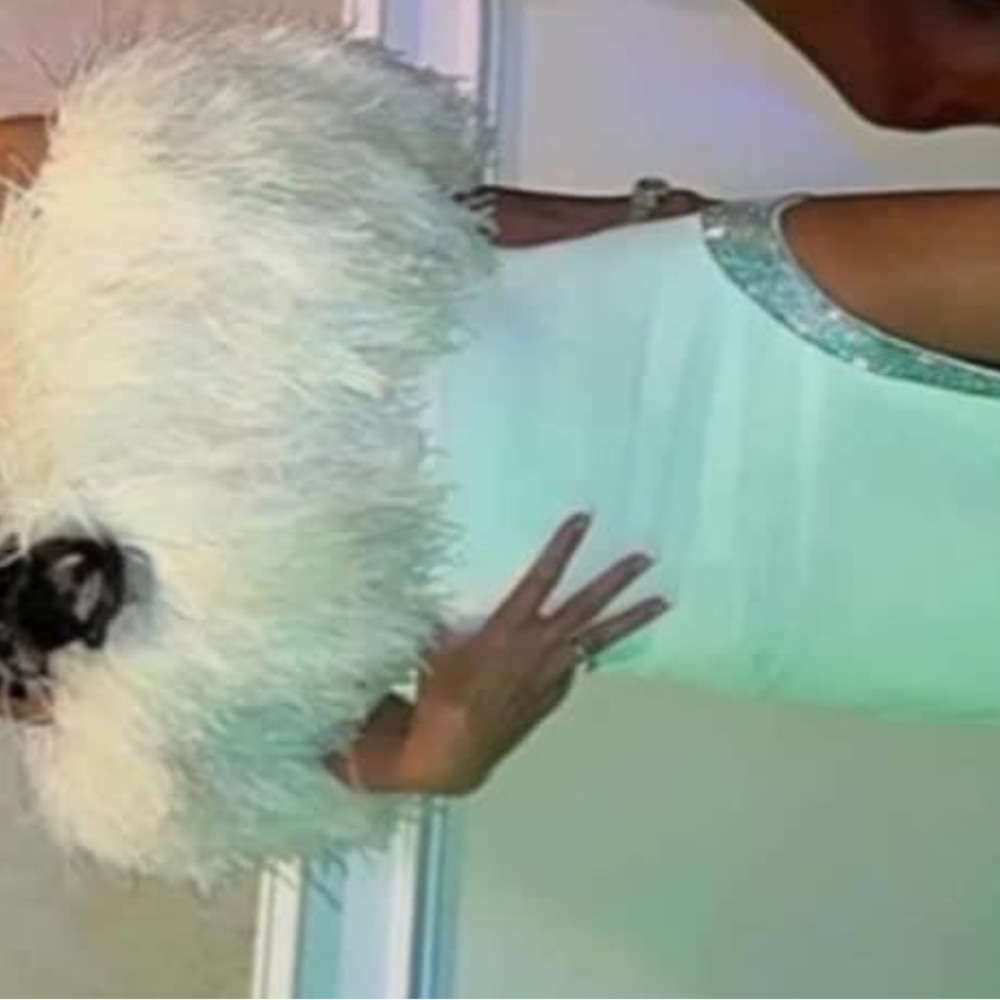 David Koma White Ostrich Feather Crystal Embellished Dress